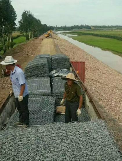 雷諾護墊